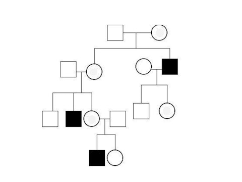 pedigree biology