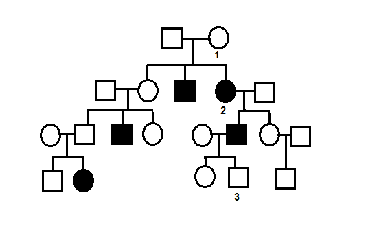 pedigree biology
