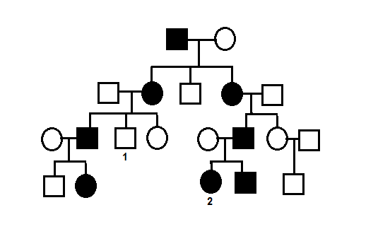 pedigree biology